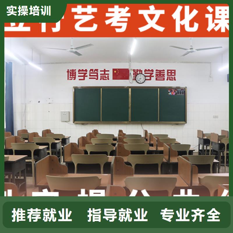 有几所艺术生文化课补习学校学真技术