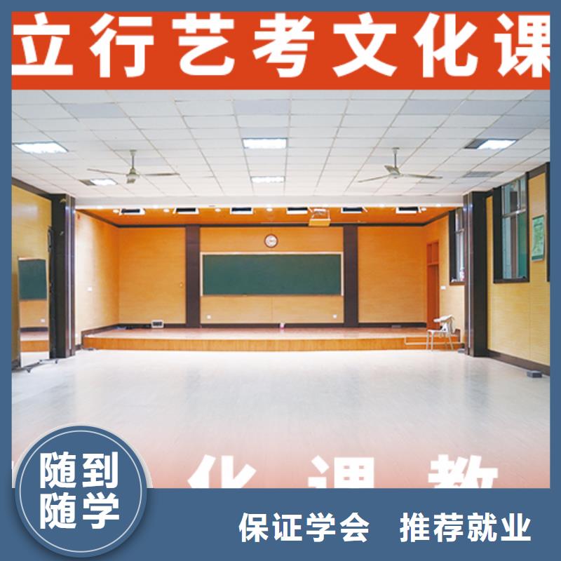 艺术生文化课培训学校排行榜本地公司