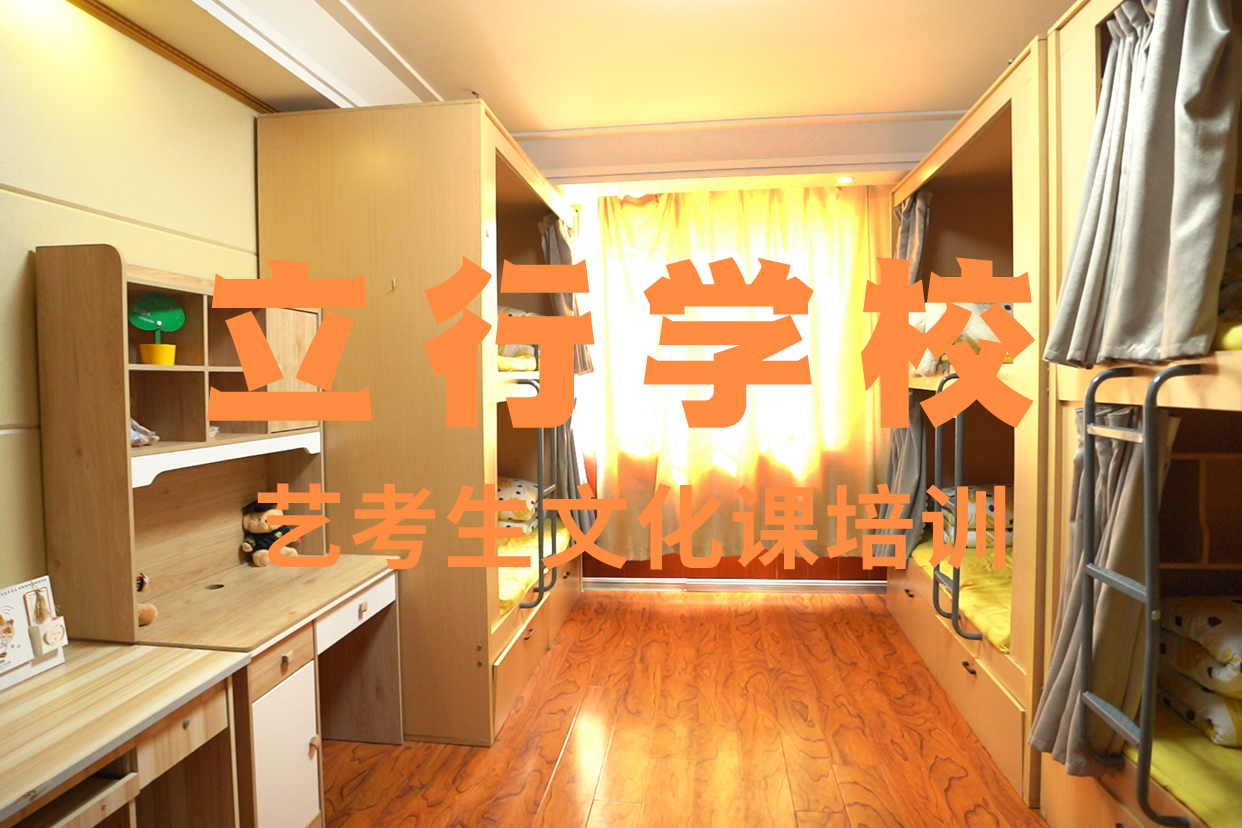 艺考文化课补习高考数学辅导手把手教学