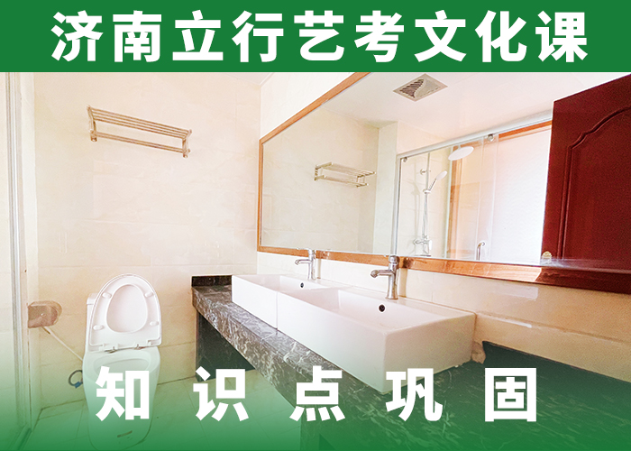 艺考生文化课【高中一对一辅导】理论+实操