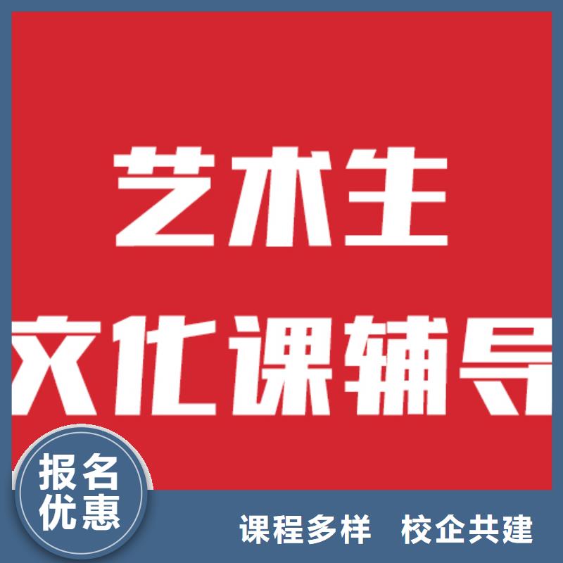 艺考文化课辅导机构贵不贵？实操教学