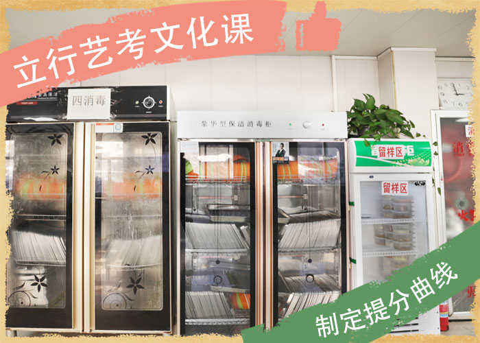 艺考文化课,艺考培训全程实操当地生产商