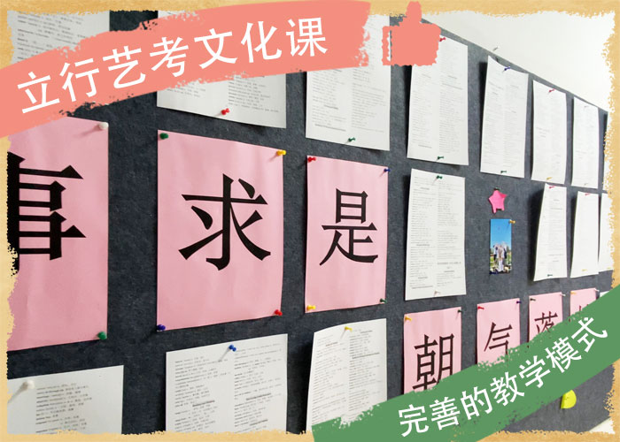 艺术生文化课集训冲刺升本多的对比情况