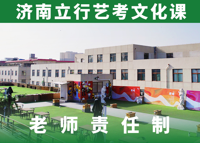艺考生文化课冲刺高三集训理论+实操