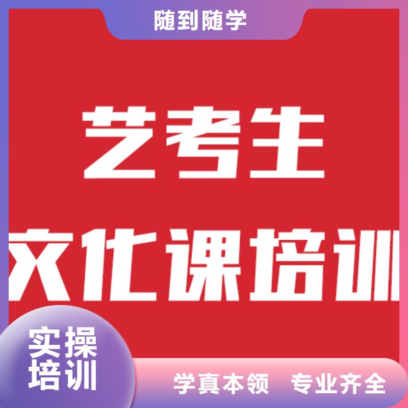 艺考生文化课补习学校2024哪里学校好老师专业