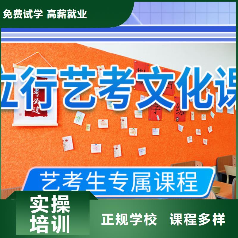 艺考文化课学校高三集训学真技术本地生产厂家