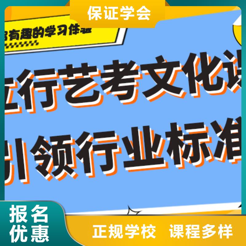 艺术生文化课培训补习排行榜学真技术