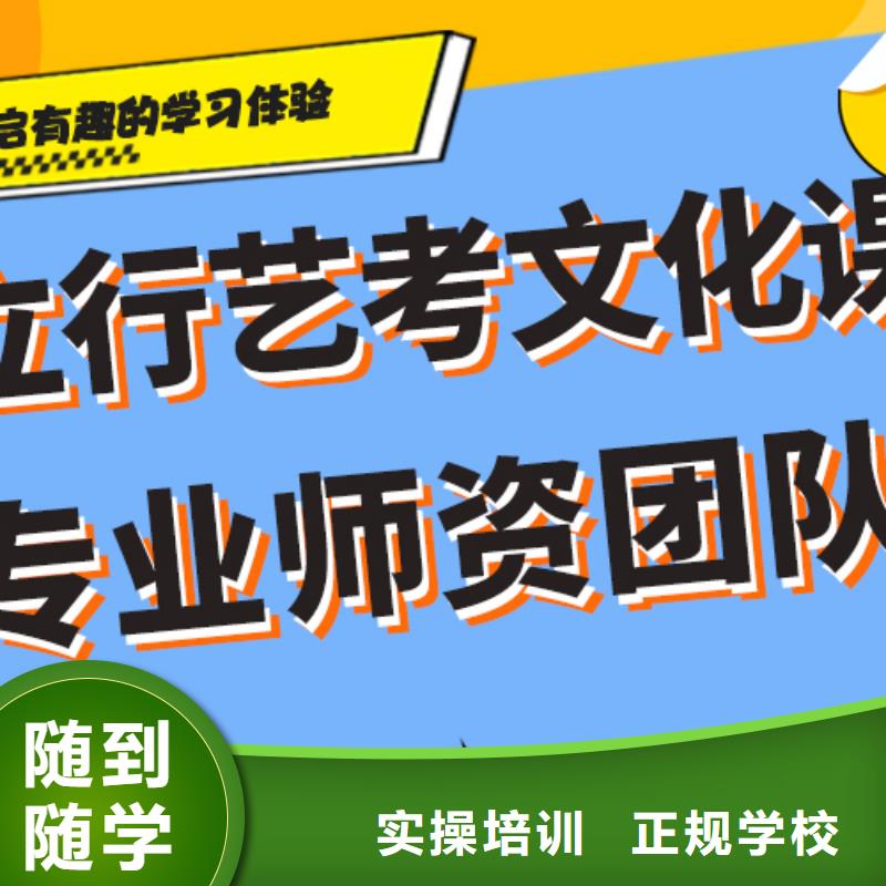 艺术生文化课培训补习好不好艺考生文化课专用教材学真技术