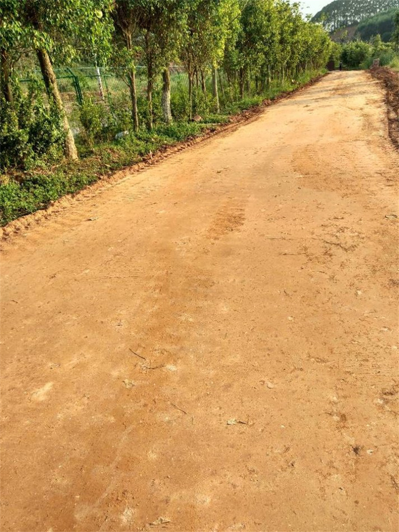 原生泰土壤固化剂制造当地生产商