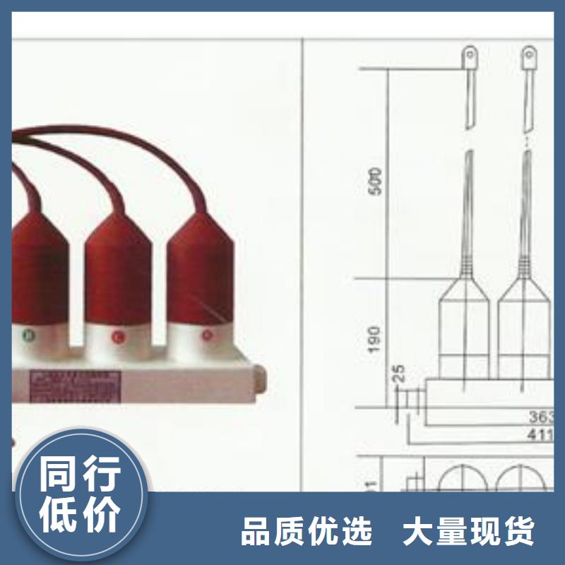 过电压保护器跌落式熔断器闪电发货源头厂商