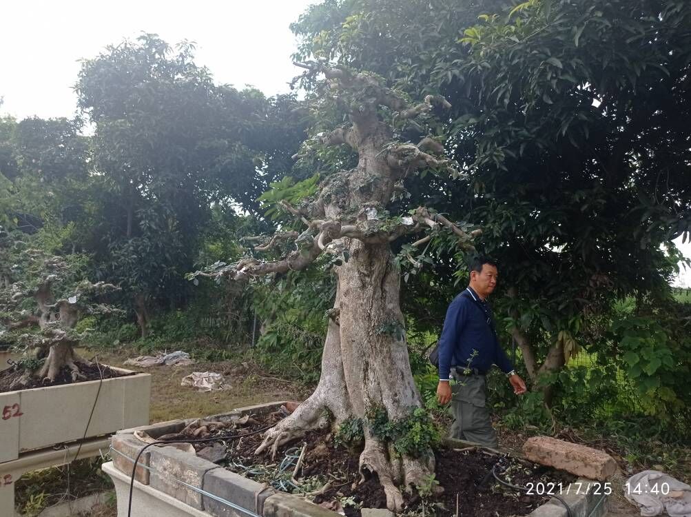 土壤固化剂生物酶土壤固化剂的图文介绍