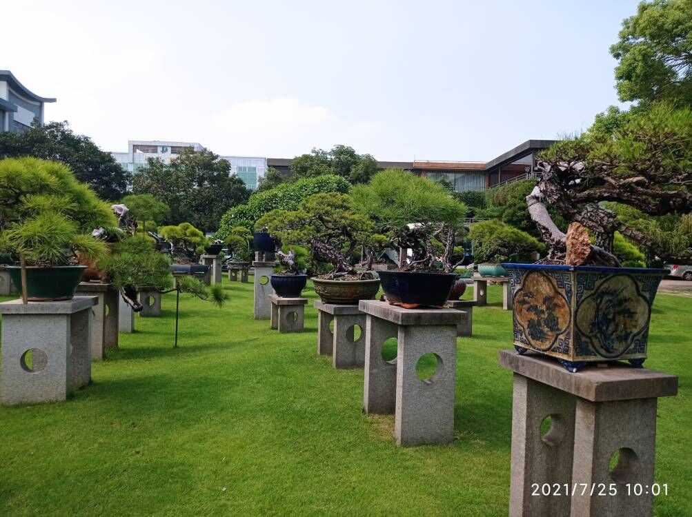 河堤水闸大修提升改造沙土固化剂种植基地