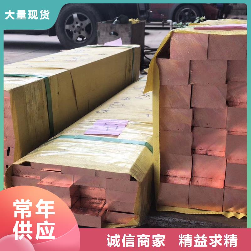 紫铜排,镀锡铜绞线为您提供一站式采购服务厂家货源