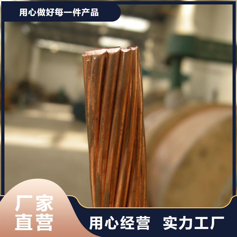 ​铜绞线紫铜排定制零售批发本地制造商