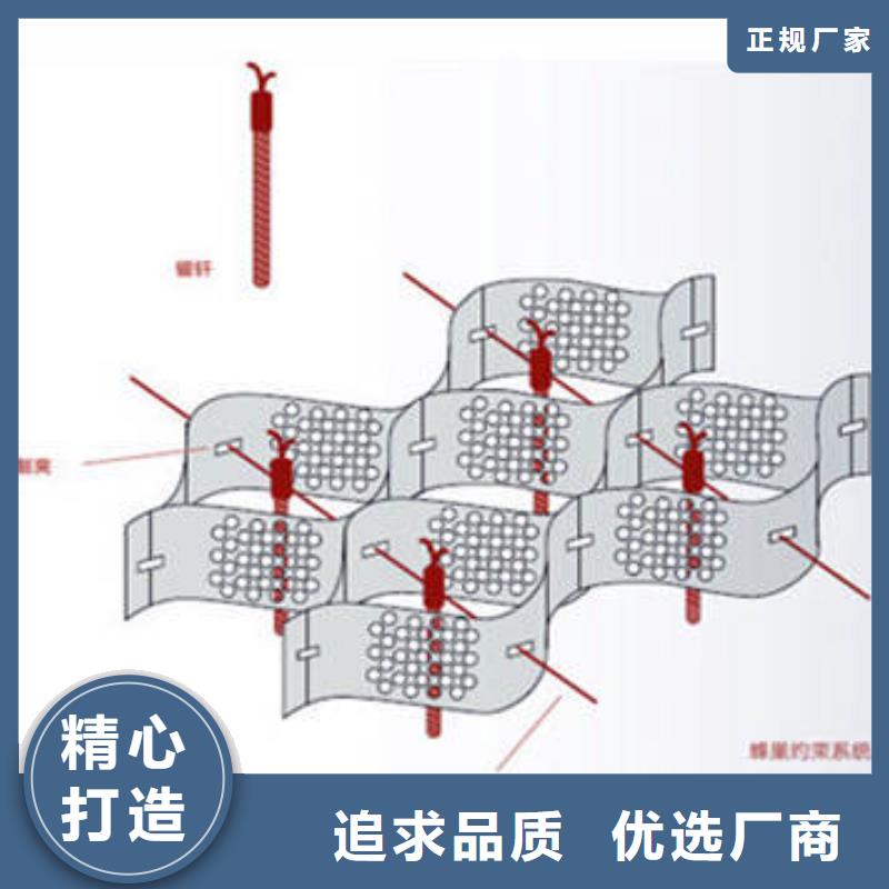 蜂巢格室六边形格室根据要求定制专注质量