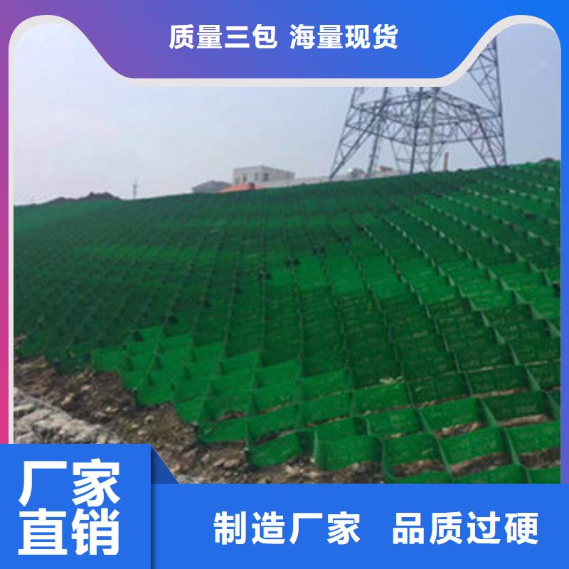 蜂巢格室塑料土工格室精选厂家好货同城公司