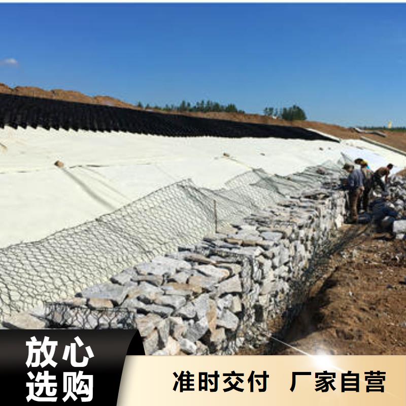​蜂巢格室聚酯玻纤布信誉有保证本地品牌